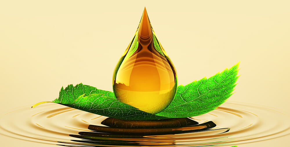 Biodegradable Oil